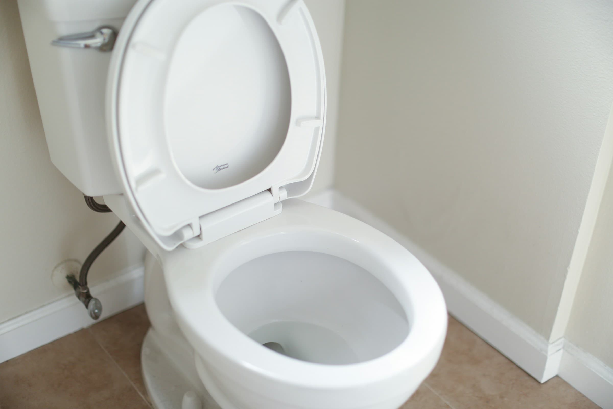 Newly installed white toilet